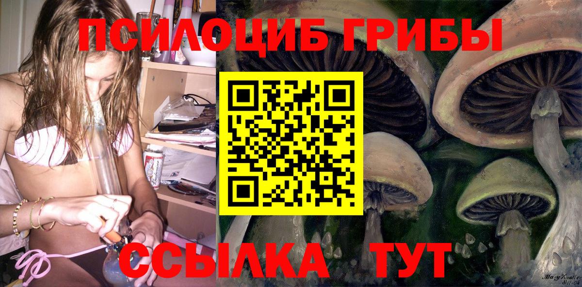 Галлюциногенные грибы GOLDEN TEACHER  Вход с VPN  Самара 
