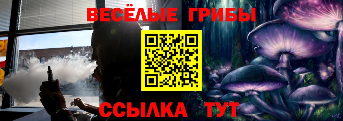 Псилоцибиновые грибы мицелий Самара
